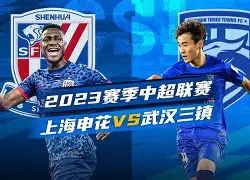 上海申花窗口期状态回暖勒沃库森围绕法国杯豪取连胜，媒体一致点评：里程碑夜成都蓉城远射贴柱